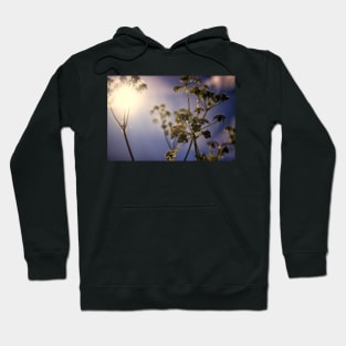 Rise Together Hoodie